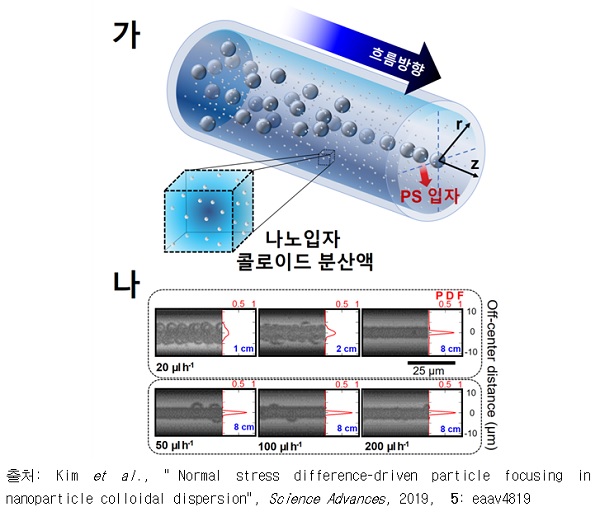 김주민 교수 연구팀, 나노입자 분산액에서 ‘입자 집속현상’ 발견