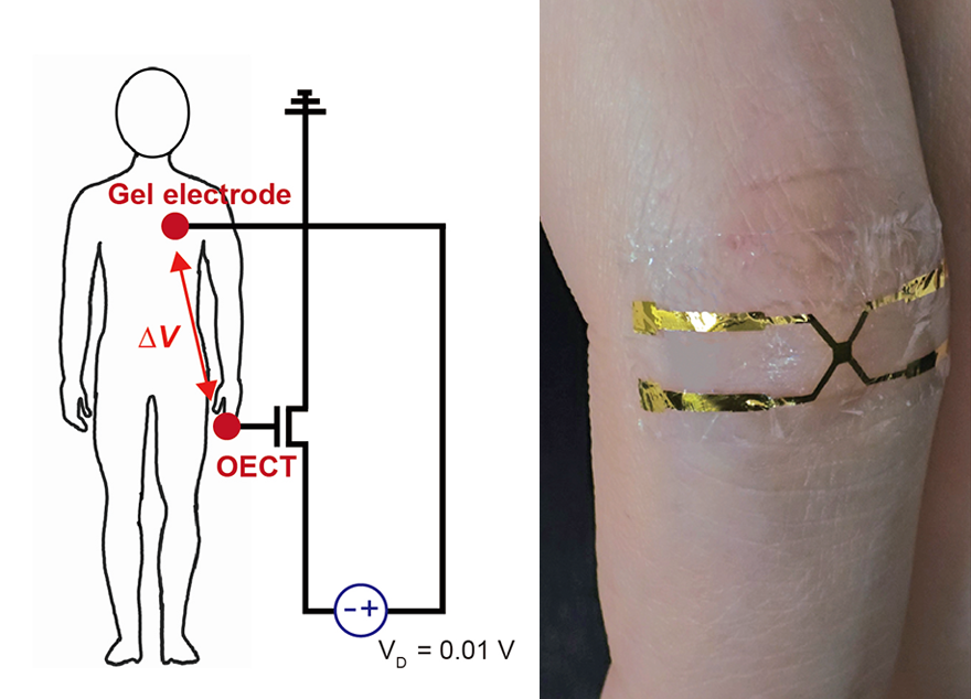 박성준 교수팀, 낮은 전력으로도 정확·안정적으로 구동가능한 정밀전자피부(e-skin) 개발
