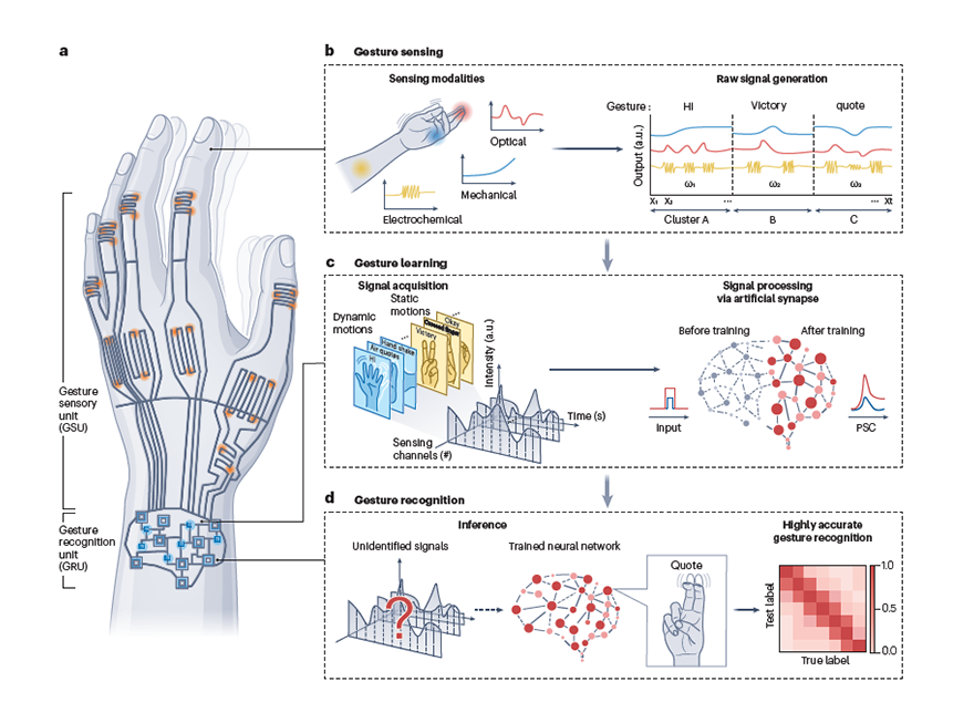 박성준 교수팀, 손 동작 인식 가능한 차세대 제스처 인식기술 로드맵 제시